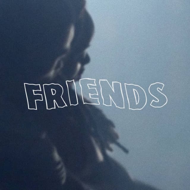 Album cover art for Friends