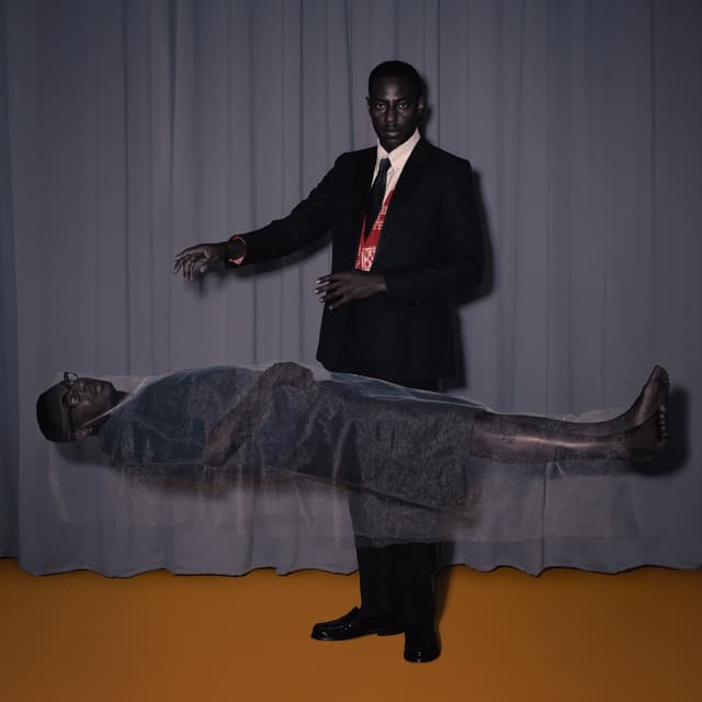 Album cover art for Bankroll Peelers