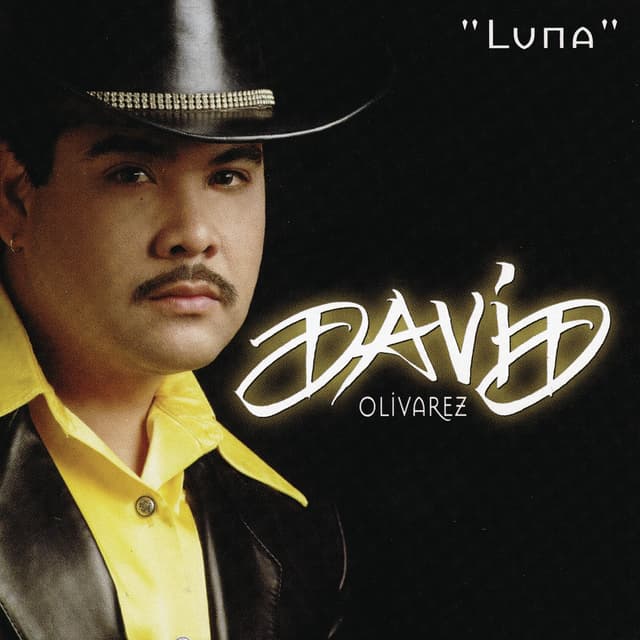 Album cover art for Luna