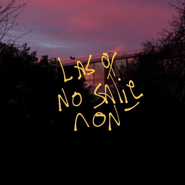 Album cover art for Las q no salieron