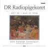Sneflokke Kommer Vrimlende