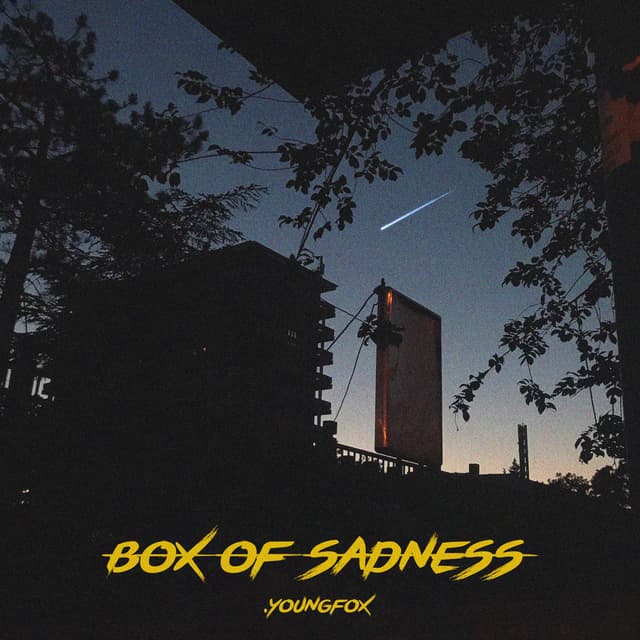 Album cover art for Box of Sadness