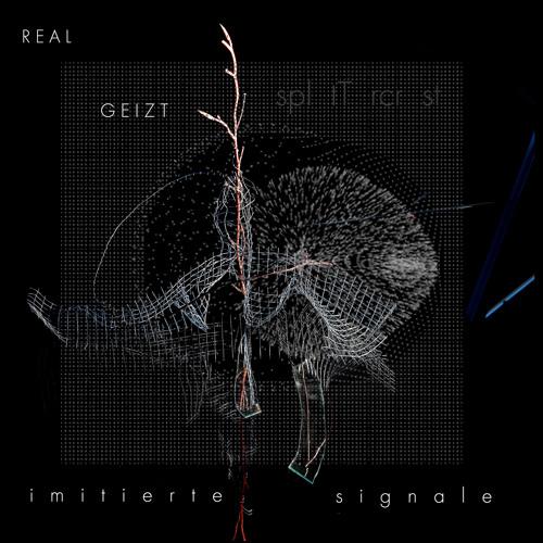 Album cover art for Imitierte Signale
