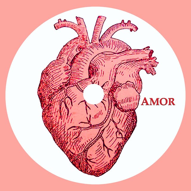Album cover art for Amor