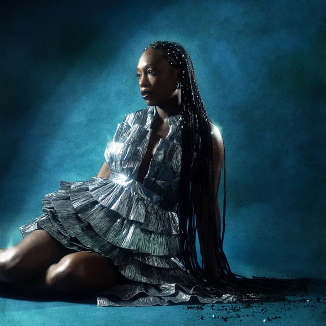 Album cover art for Diamant Noir