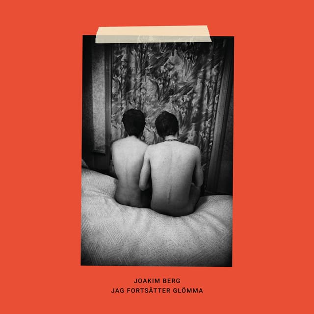 Album cover art for Jag fortsätter glömma