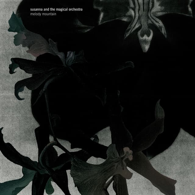 Album cover art for Melody Mountain