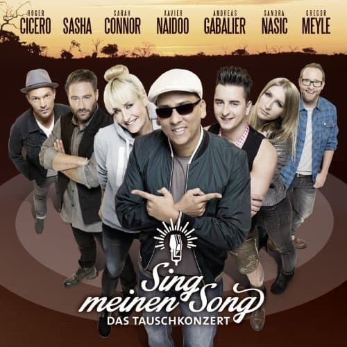 Album cover art for Sing Meinen Song