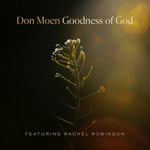 Album cover art for Goodness of God (feat. Rachel Robinson)