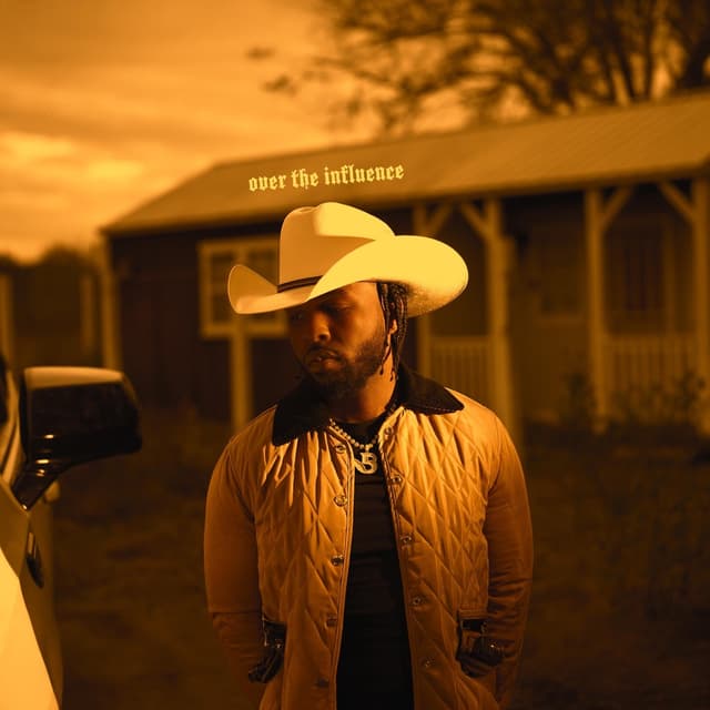 Album cover art for Over the Influence