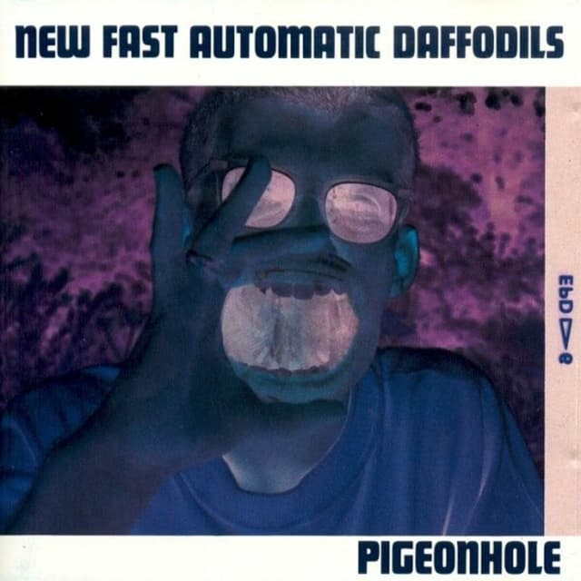 Album cover art for Pigeonhole