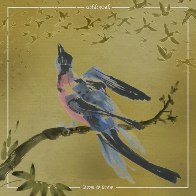 Album cover art for Room to Grow