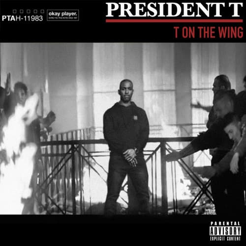 Album cover art for T On The Wing