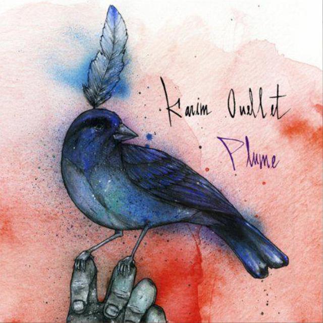 Album cover art for Plume