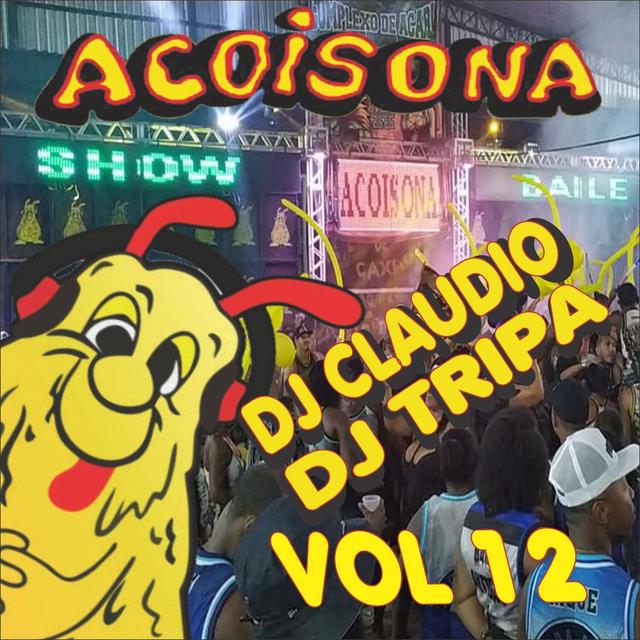 Album cover art for Acoisona, Vol. 12