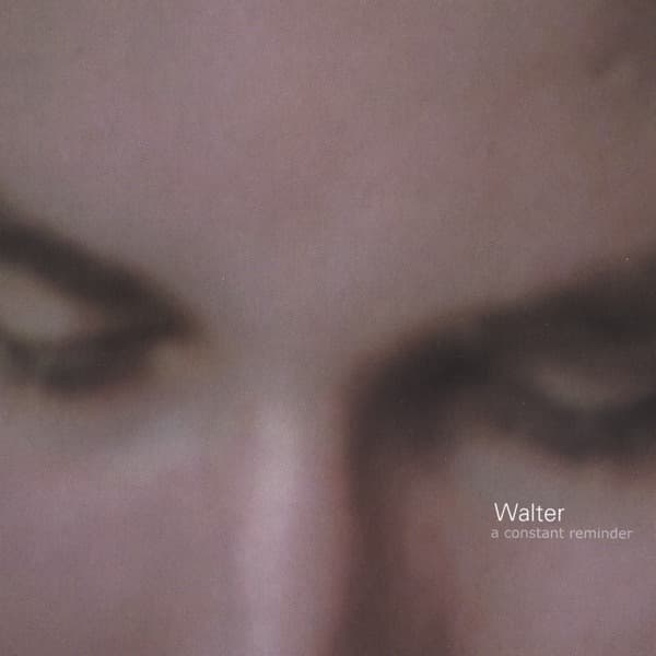 Album cover art for A Constant Reminder