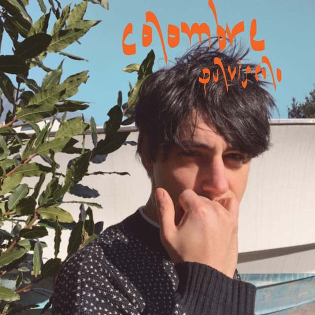 Album cover art for Pulviscolo