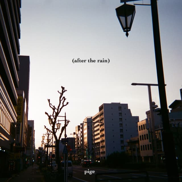Album cover art for (after the rain)