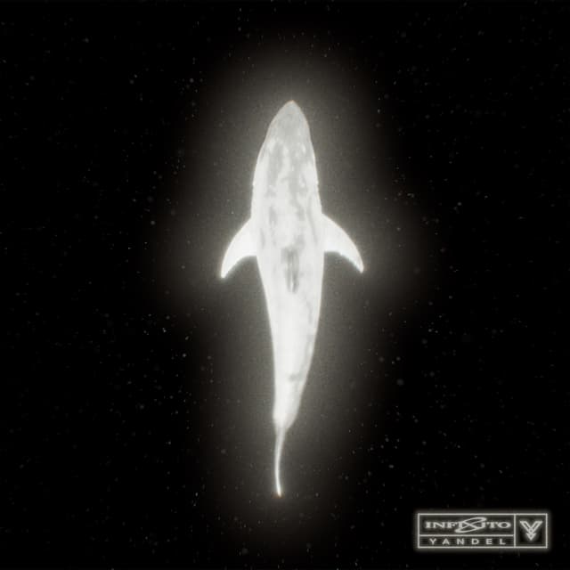 Album cover art for Infinito