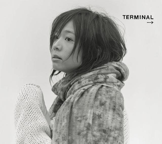 Album cover art for Terminal