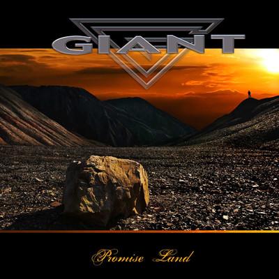Album cover art for Promised Land