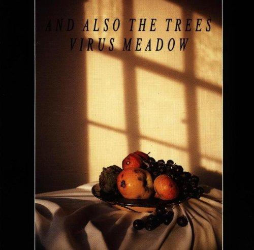 Album cover art for Virus Meadow