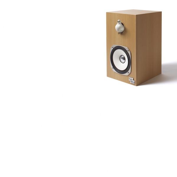 Album cover art for Together|あかり|Fall Back