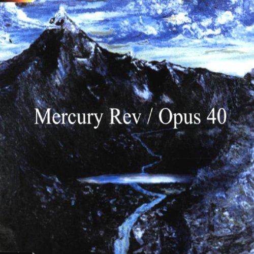 Album cover art for Opus 40
