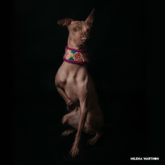 Album cover art for Mashup Peruano