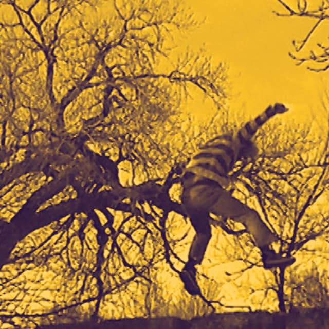 Album cover art for Yellow