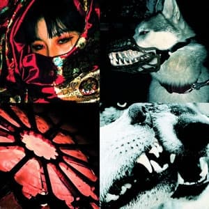 Album cover art for Evol