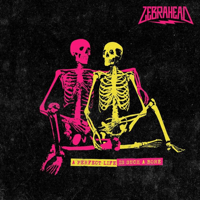 Album cover art for A Perfect Life Is Such a Bore