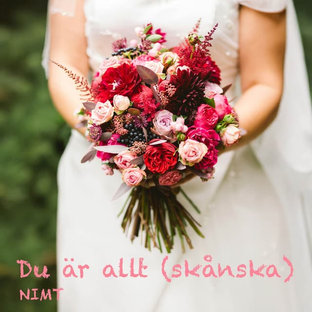 Album cover art for Du är allt (skånska)