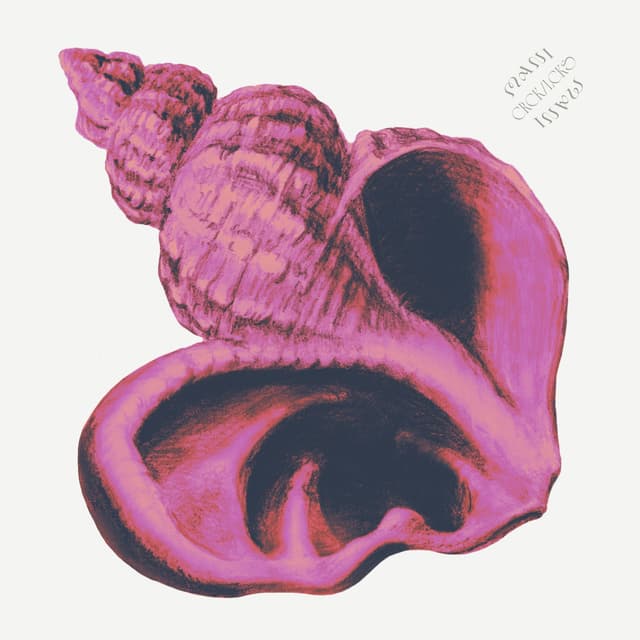 Album cover art for まにまに