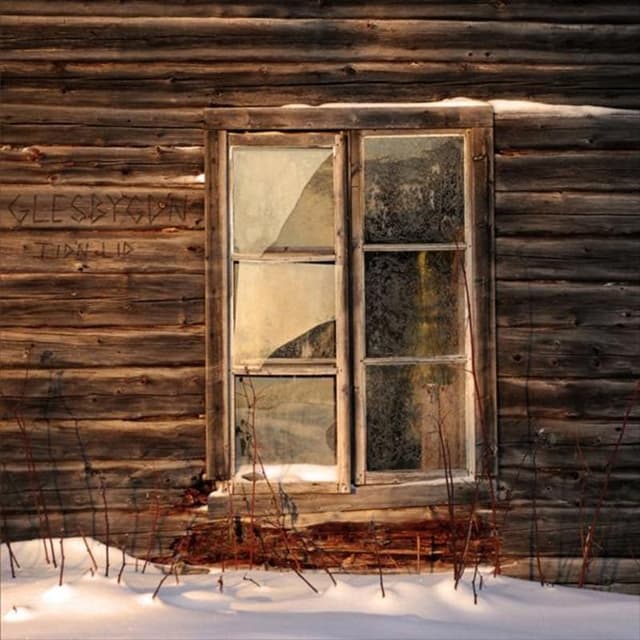 Album cover art for Tid'n lid