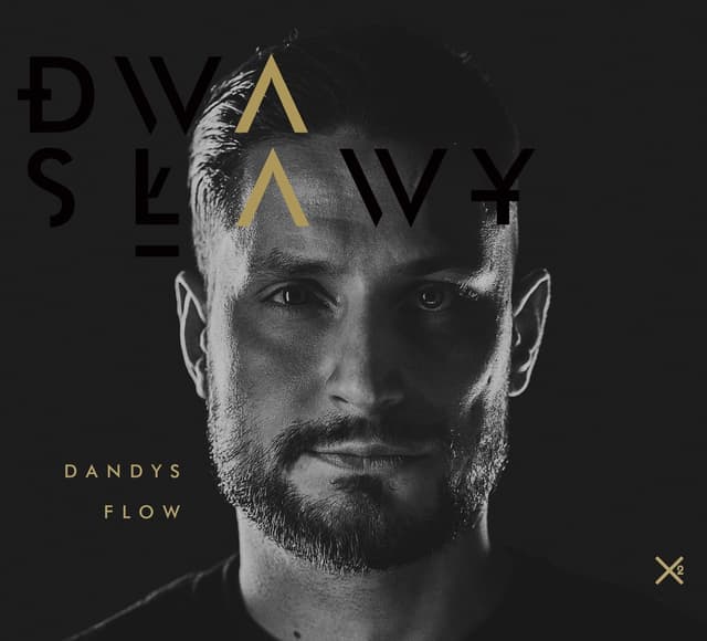 Album cover art for Dandys Flow