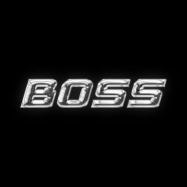 Album cover art for Boss