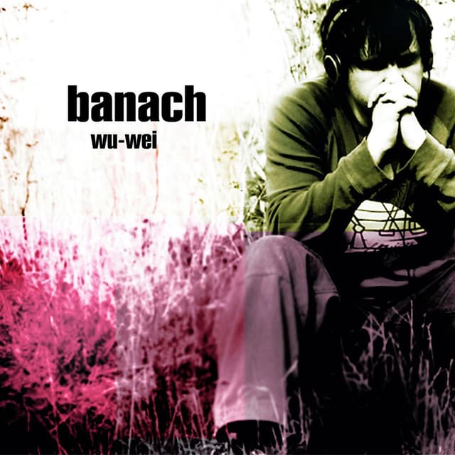 Album cover art for wu-wei
