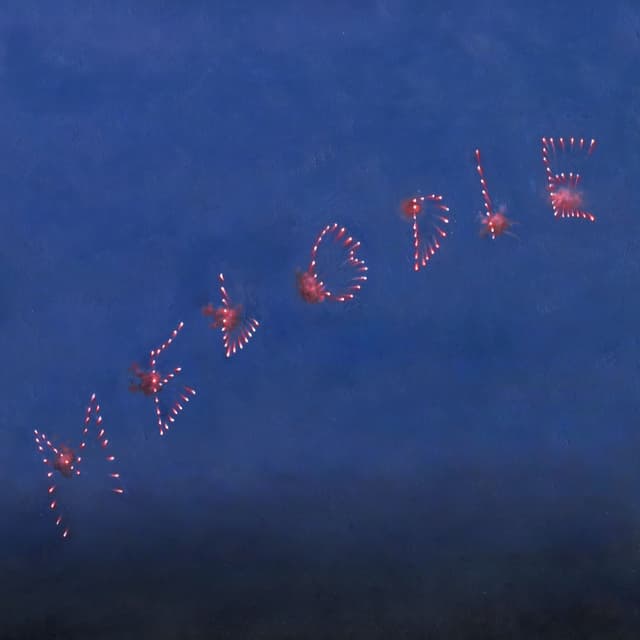 Album cover art for Better Man