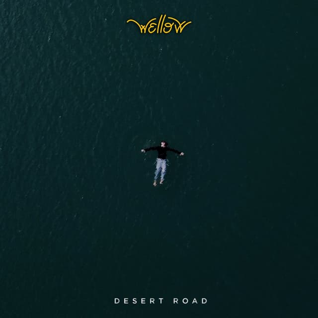 Album cover art for Desert Road