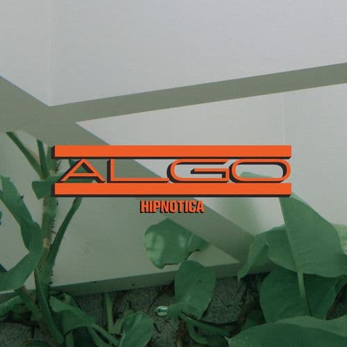 Album cover art for Algo