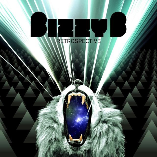 Album cover art for Retrospective