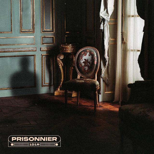 Album cover art for Prisonnier