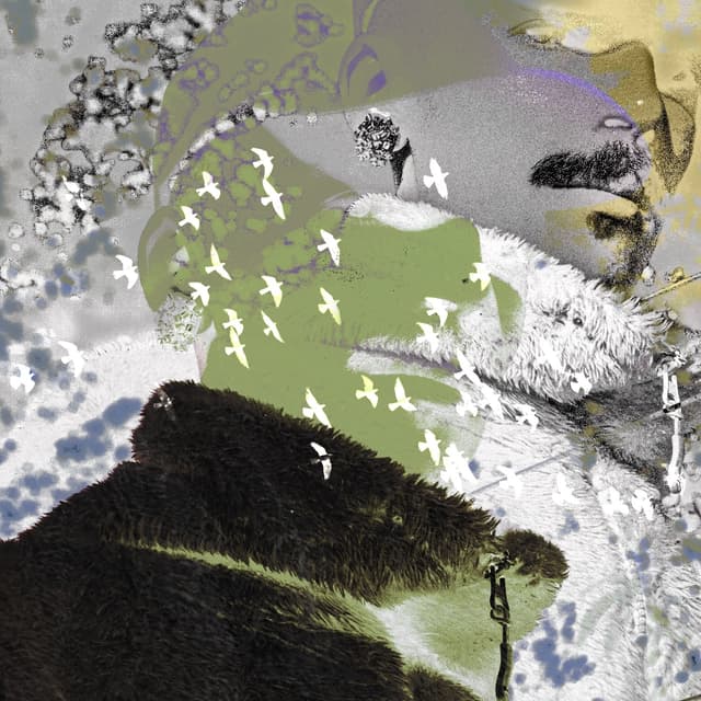 Album cover art for Buty Sovoiu