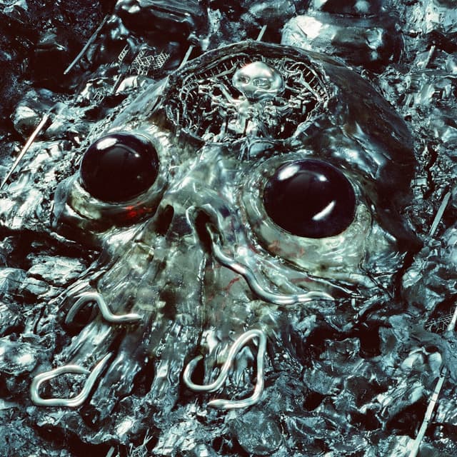 Album cover art for Kill For The Steel
