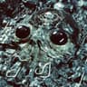Alien Metal