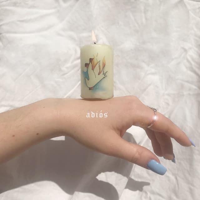 Album cover art for adiós