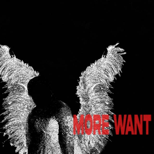 Album cover art for More Want