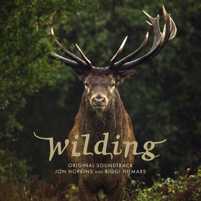 Album cover art for Wilding