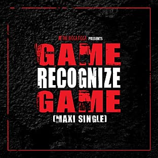 Album cover art for Game Recognize Game